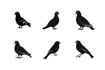 Fototapeta premium Six bird silhouettes pigeons and finches
