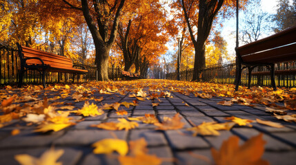 Autumn park walkway with colorful leaves, a gentle breeze, and benches along the trees