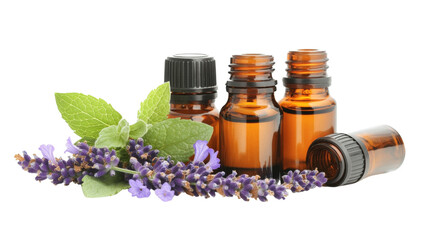 A set of essential oil bottles with lavender, peppermint, and eucalyptus oils,Transparent background, PNG file