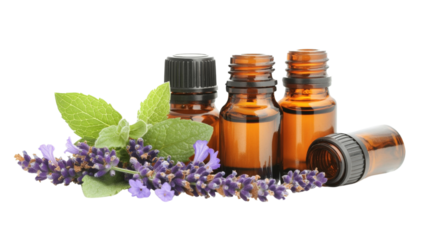 A set of essential oil bottles with lavender, peppermint, and eucalyptus oils,Transparent background, PNG file