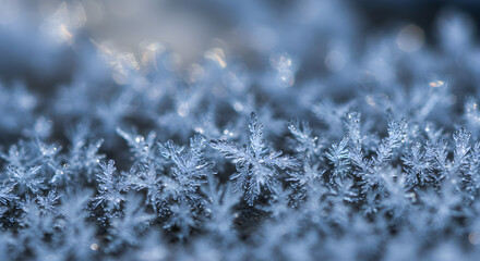 Close up of beautiful snowflakes, winter concept