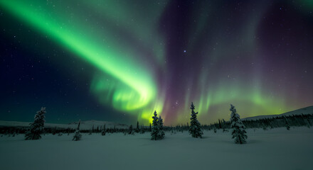 Majestic Aurora Borealis over a Snow-Covered Landscape