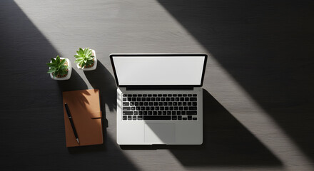 Workspace with laptop, succulents and notebook on dark wooden surface, top view with sunlight.