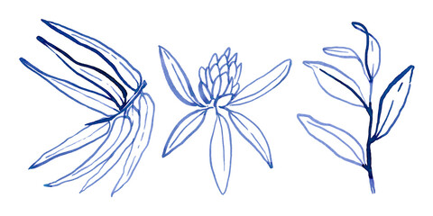 Watercolour hand drawn tropical leaves, brush line technique, blue leaves hand drawn.Ude as print, poster, element design, textile, fabric, sticker, tattoo, invitation, greeting card, package design.