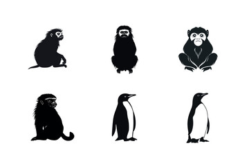 Obraz premium Silhouette set of monkeys and penguins
