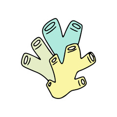 Obraz premium cartoon coral reef isolated on white background. Abstract Seaweed Shape Aesthetic Element Vector Illustration