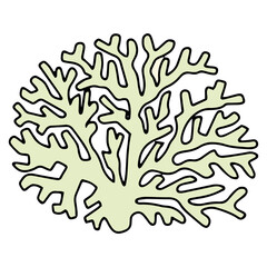 cartoon coral reef isolated on white background. Abstract Seaweed Shape Aesthetic Element Vector Illustration