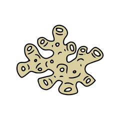 Beautiful coral reef element stock design. cartoon coral reef isolated on white background. Abstract Seaweed Shape Aesthetic Element Vector Illustration