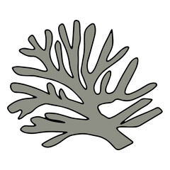 Obraz premium cartoon coral reef isolated on white background. Abstract Seaweed Shape Aesthetic Element Vector Illustration