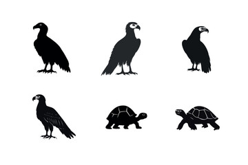 Obraz premium Silhouette set of vultures eagles and tortoises