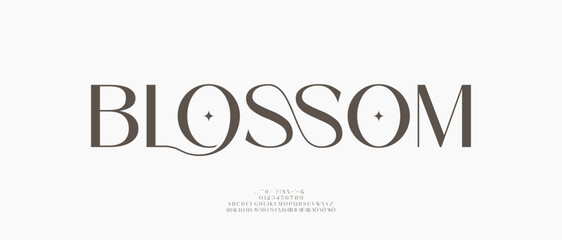 Modern and Elegant Fonts. Beauty Luxury font alphabet logo. Typography beautiful fashion elegant classic letters serif italic fonts decorative wedding vintage blossom logos. vector illustration