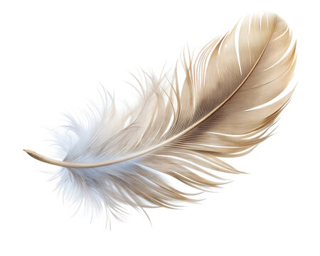 Fototapeta realistic feather floating isolated