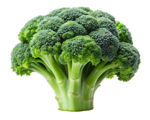 red broccoli floret close front