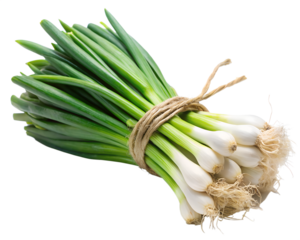 spring onions bunch tied fresh
