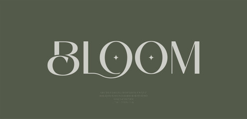 Modern and Elegant Fonts. Beauty Luxury font alphabet logo. Typography beautiful fashion elegant classic letters serif italic fonts decorative wedding vintage blossom logos. vector illustration