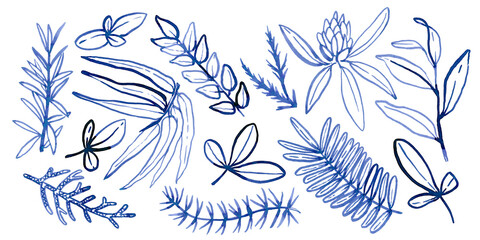 Watercolour hand drawn tropical leaves, brush line technique, blue leaves hand drawn.Ude as print, poster, element design, textile, fabric, sticker, tattoo, invitation, greeting card, package design.