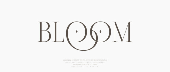 Modern and Elegant Fonts. Minimal luxury font alphabet logo. Typography beauty fashion elegant minimalist serif italic fonts decorative wedding vintage retro logos. vector illustration
