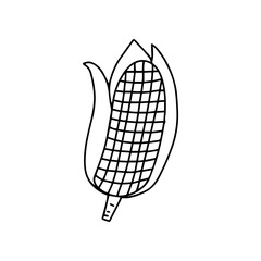 Outline vegetables isolated on white background. broccoli, carrot, tomato,cabbage. icon or sign vegetables. coloring book for kids