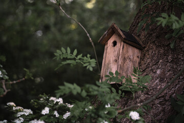 Rustic birdhouse perched on a tree amidst lush greenery and blooming flowers during a quiet afternoon