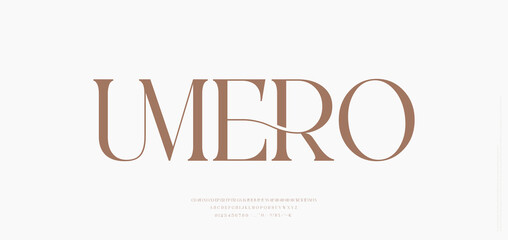 Modern and Elegant Font. Beauty & Luxury font alphabet logo. Typography beautiful fashion elegant classic letters serif fonts decorative wedding vintage retro logos. vector illustration

