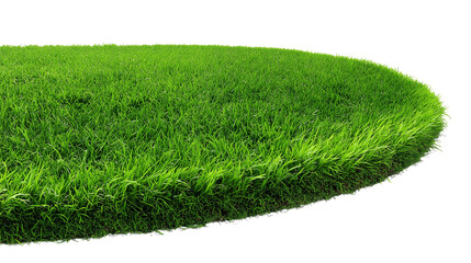 Green Grass Isolated on Transparent Background

