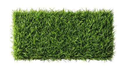 Green Grass Isolated on Transparent Background

