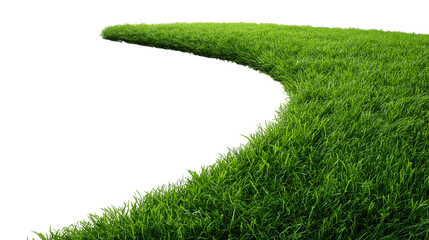 Green Grass Isolated on Transparent Background

