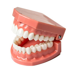 Obraz premium Single Chattering Joke Teeth Isolated on Transparent Background – Wind-Up Toy Dentures PNG