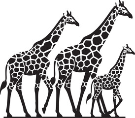 Giraffe family silhouette illustration on transparent background 