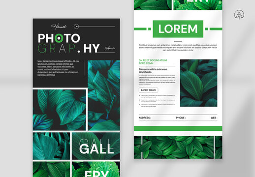 Photography News Letter Template
