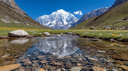 Alpine Meadow Landscape with Clear Stream and Mountain Reflection