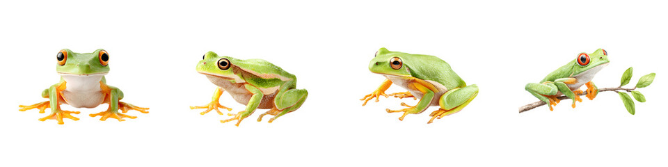 Colorful, realistic tree frogs showcasing vibrant green hues, detailed textures, and dynamic poses, great for educational, nature-themed, or wildlife illustrations, emphasizing their playful character