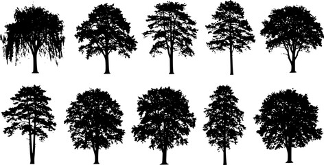 small pine tree silhouettes on the white background volume 2
