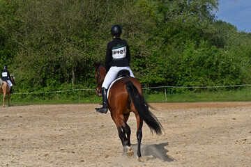 concours hippique
