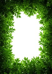 Green Leaf Frame Nature Border Fresh Spring Background Image
