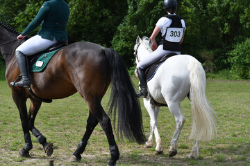concours hippique