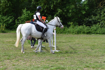 concours hippique