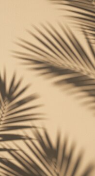 Illustration of Palm Leaf Shadow on Beige Sand Texture Background