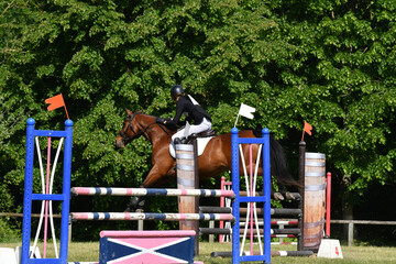 concours hippique
