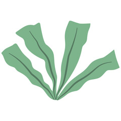 hand holding green leaf cartoon vector	