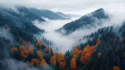 Autumnal Mountain Landscape with Fog and Cloudy Sky