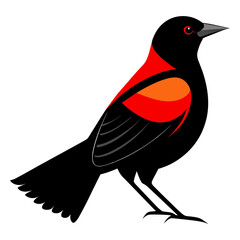 Blackbird with Red Wing Feathers Design
