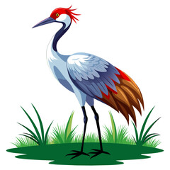 Obraz premium Sandhill Crane Heron Bird Vector Art