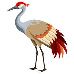 Wading Bird Sandhill Crane Clipart