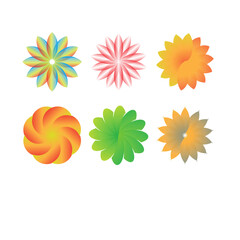 set of colorful flowers