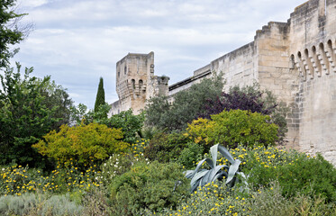 Avignon, city wall from outside with flowers and agave in spring in France