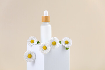 bottle with an essential oil pipette on a white podium and daisy flowers on a beige background