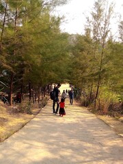 Fototapeta premium A Walk Through Nature’s Green Tunnel