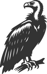 Bird vector drawing silhouette of a black vulture