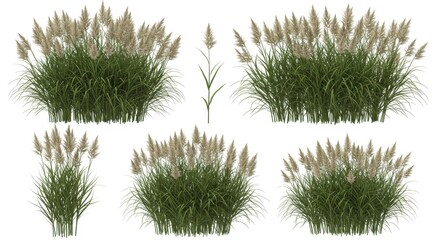 Realistic Pampas Grass Ornamentals Lush Green Bush Tuft Decoration